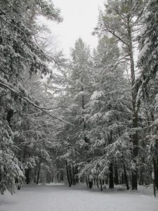 401986_10150555436778602_1665004126_n